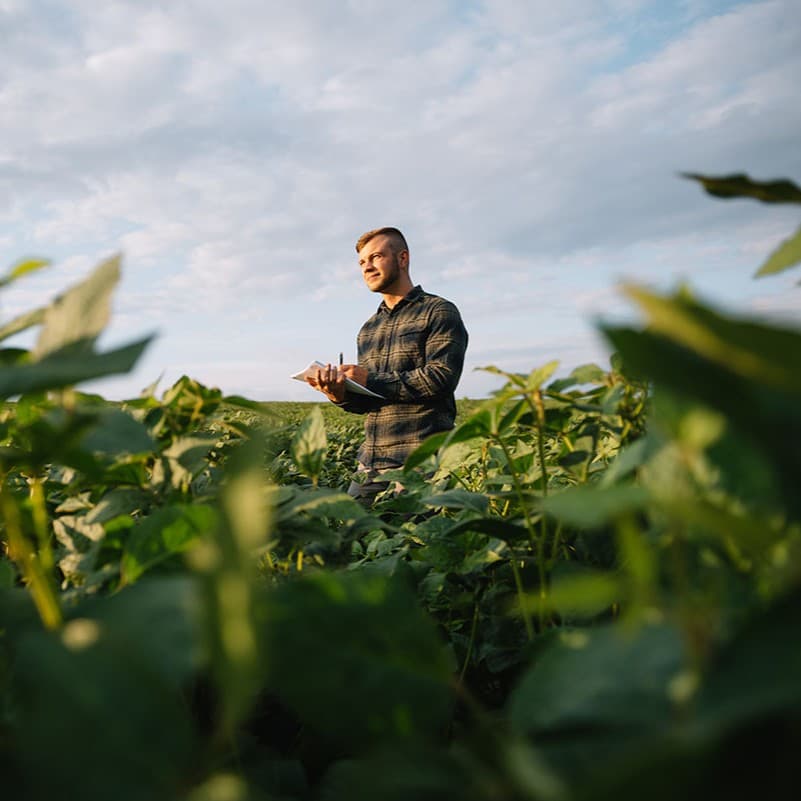 AGRICULTURE SERVICES