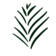 Image of sannatieba